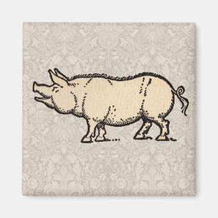 Pig Antiek Piggy Schattige  Illustratie Magneet