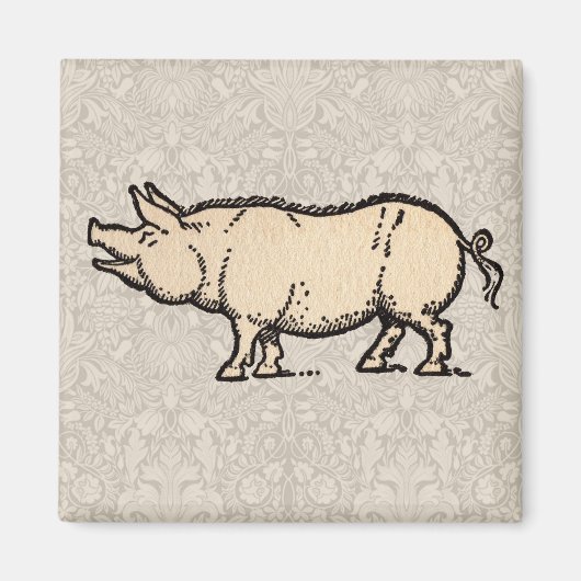 Pig Antiek Piggy Schattige  Illustratie Magneet (Voorkant)