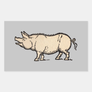 Pig Antiek Piggy Schattige  Illustratie Rechthoekige Sticker