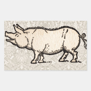 Pig Antiek Piggy Schattige  Illustratie Rechthoekige Sticker