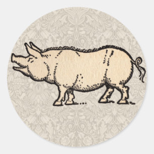 Pig Antiek Piggy Schattige Illustratie Ronde Sticker