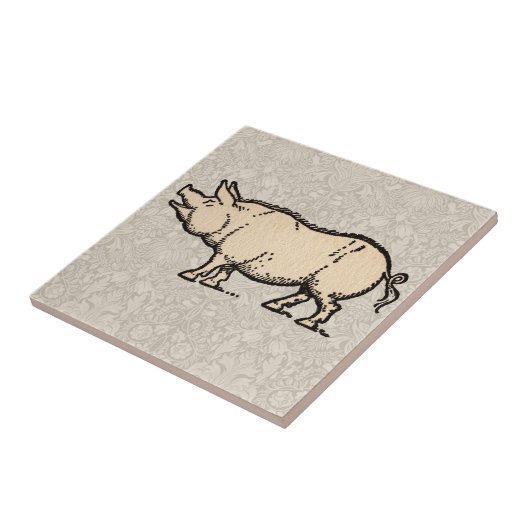Pig Antiek Piggy Schattige  Illustratie Tegeltje (Zijkant)
