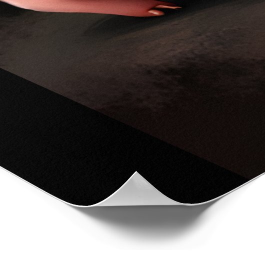 Pig Artwork – Mother Pig & Piglets Poster (Hoek)