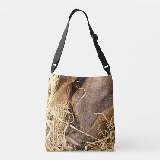 PIG CROSSBODY TAS (Achterkant)