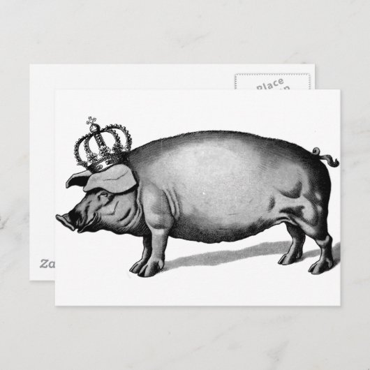 Pig Crown Royal Queen Big Piggy Briefkaart (Voorkant / Achterkant)