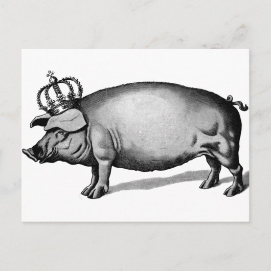 Pig Crown Royal Queen Big Piggy Briefkaart (Voorkant)