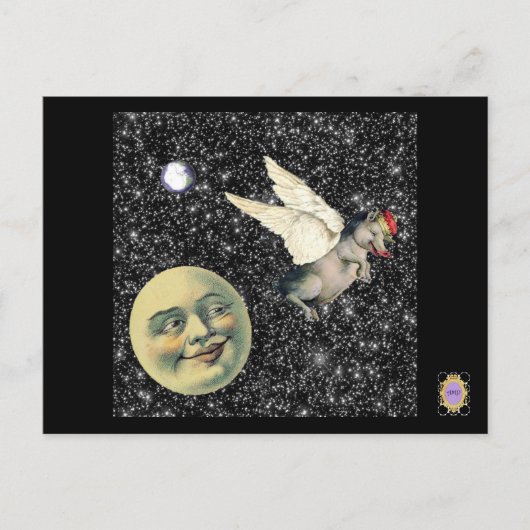 Pig Dreams Briefkaart (Voorkant)