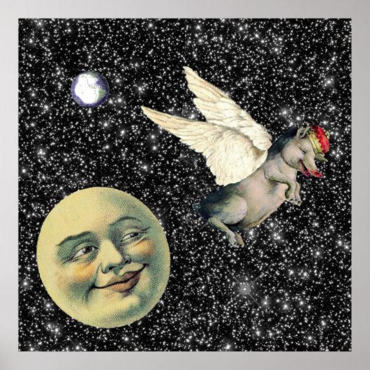 Pig Dreams Poster (Voorkant)