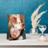 PIG FOTOPLAAT (Zijkant)