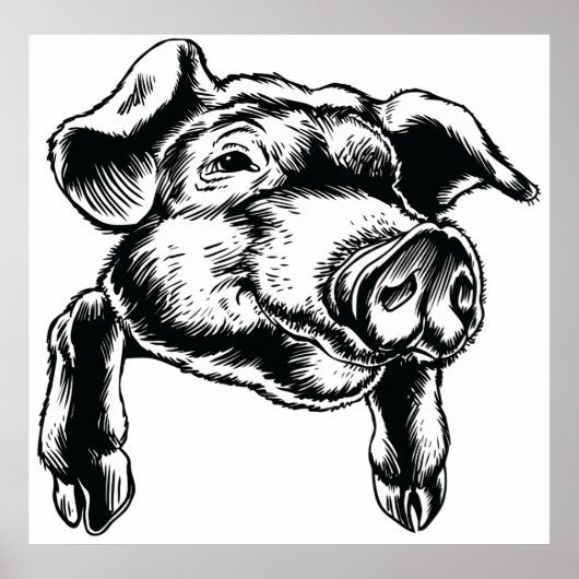 Pig Head Farm Animal Drawing in Black White Poster (Voorkant)