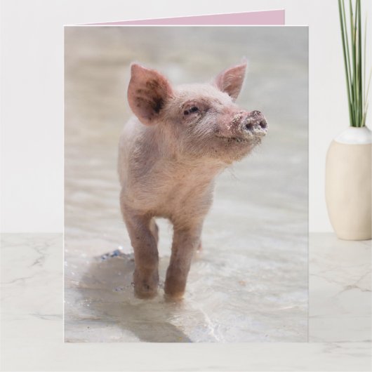 PIG HOG LOVE KAART KAARTEN (Voorkant)