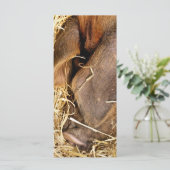 PIG-KAART (Staand voorkant)