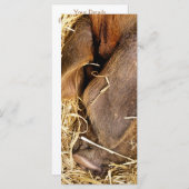 PIG-KAART (Voorkant / Achterkant)