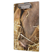 PIG KLEMBORD (Links)