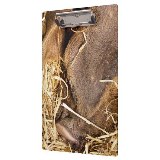 PIG KLEMBORD (Links)