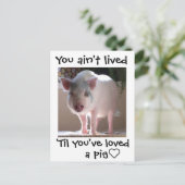 Pig lovin' briefkaart (Staand voorkant)