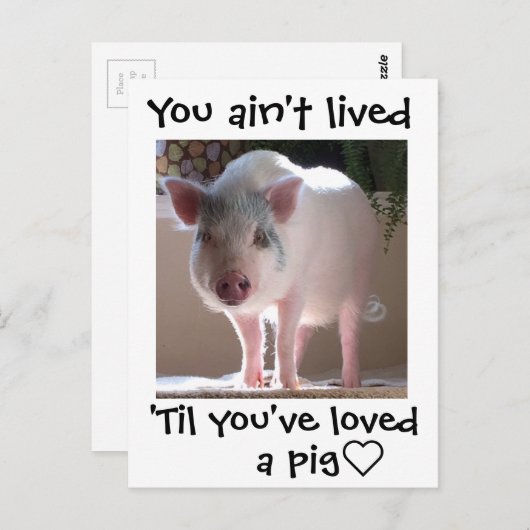 Pig lovin' briefkaart (Voorkant / Achterkant)