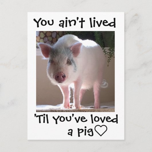 Pig lovin' briefkaart (Voorkant)
