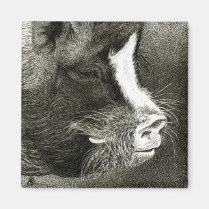 Pig Magnet - "Homer"
