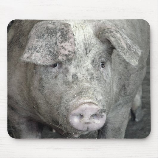 Pig Muismat (Voorkant)