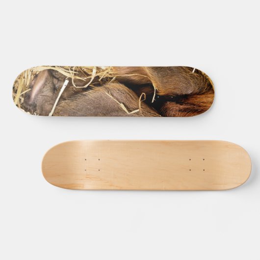 PIG PERSOONLIJK SKATEBOARD (Horizontaal)