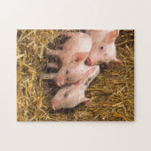 Pig Piglet Hay Legpuzzel (Horizontaal)