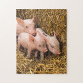 Pig Piglet Hay Legpuzzel (Verticaal)