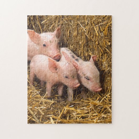 Pig Piglet Hay Legpuzzel (Verticaal)
