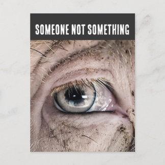 PIG Postcard, SOMEONE NOT SOMETHING Briefkaart