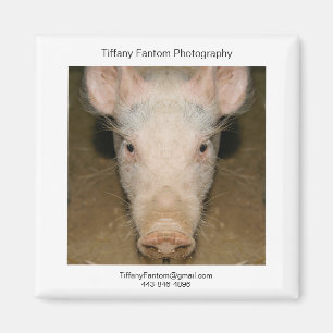 Pig Promo Piece Magneet