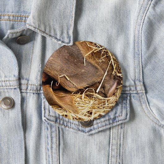 PIG RONDE BUTTON 4,0 CM (In situ)