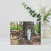 pig skull in the forest - caveira de porco briefkaart (Staand voorkant)