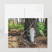 pig skull in the forest - caveira de porco briefkaart (Voorkant / Achterkant)