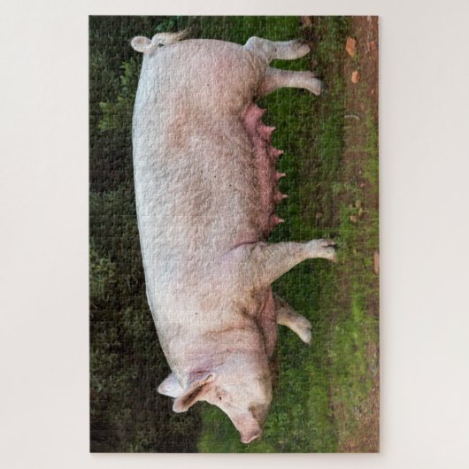 Pig Teats Funny Foto Legpuzzel (Verticaal)