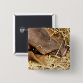 PIG VIERKANTE BUTTON 5,1 CM (Voorkant /achterkant)