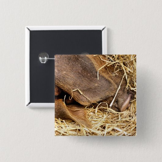 PIG VIERKANTE BUTTON 5,1 CM (Voorkant /achterkant)