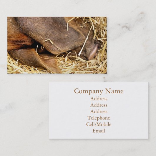 PIG VISITEKAARTJE (Voorkant / Achterkant)