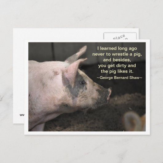 Pig Wisdom - worstelaar Briefkaart (Voorkant / Achterkant)