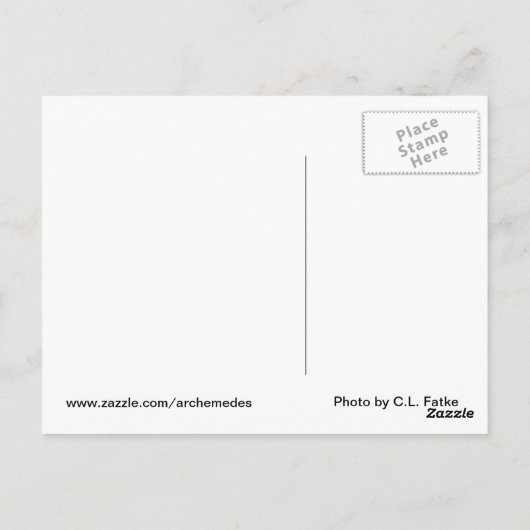 Pig Wisdom - worstelaar Briefkaart (Achterkant)