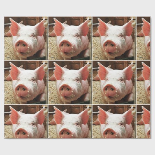 PIG WRAPPINGPAPIER CADEAUPAPIER (Vlak)