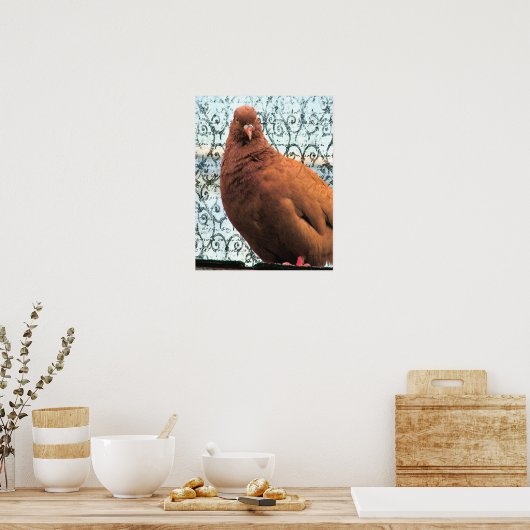 Pigeon Art Poster (Keuken)