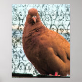 Pigeon Art Poster (Voorkant)