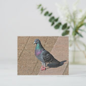 Pigeon, At Roath Park Lake, Cardiff, Wales Postcar Briefkaart (Staand voorkant)