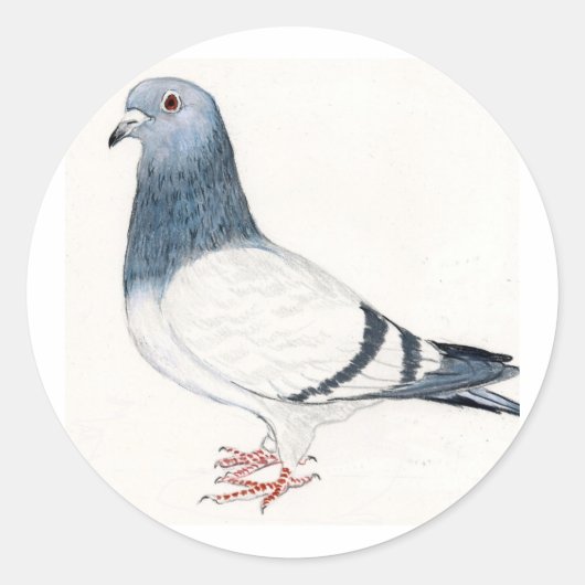 Pigeon Bird Art Sticker (Voorkant)