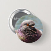 Pigeon close ronde button 5,7 cm (Voorkant /achterkant)