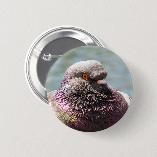 Pigeon close ronde button 5,7 cm (Voorkant /achterkant)