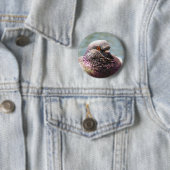 Pigeon close ronde button 5,7 cm (In situ)