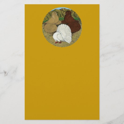 Pigeon Combo Briefpapier (Voorkant)