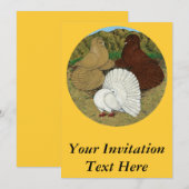 Pigeon Combo Kaart (Voorkant / Achterkant)