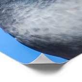 Pigeon Couple Kissens Poster (Hoek)